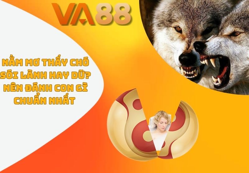 Nằm mơ thấy chó só