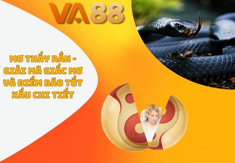Mơ Thấy Rắn