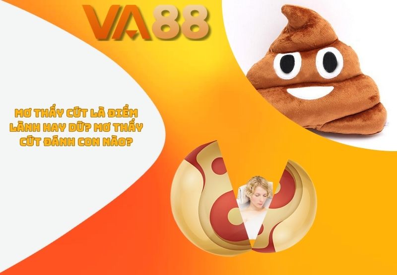 mơ thấy cứt
