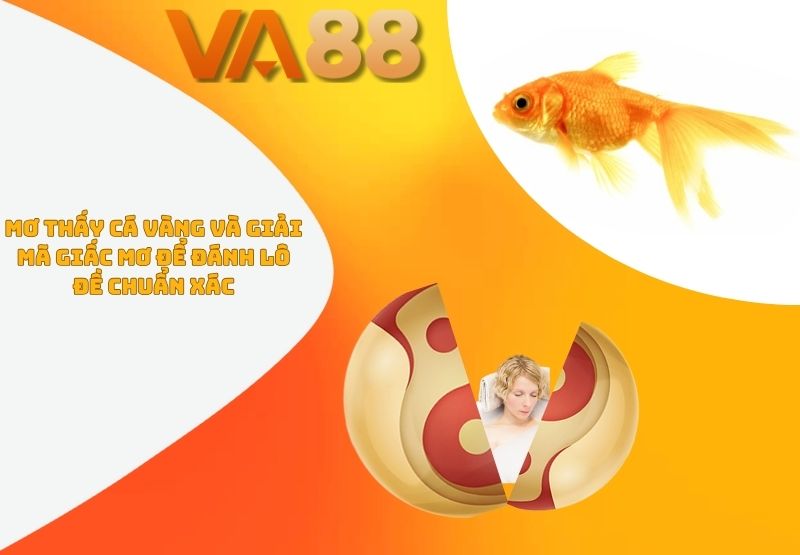 Mơ thấy cá vàng
