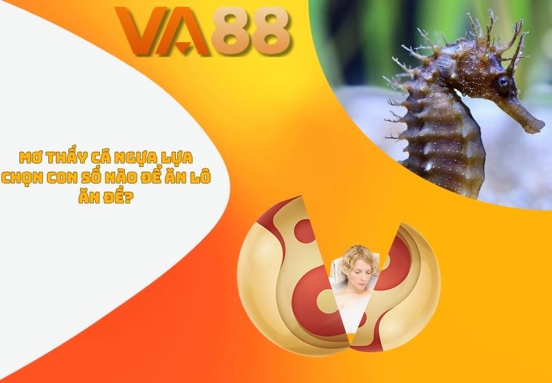 Mơ thấy cá ngựa