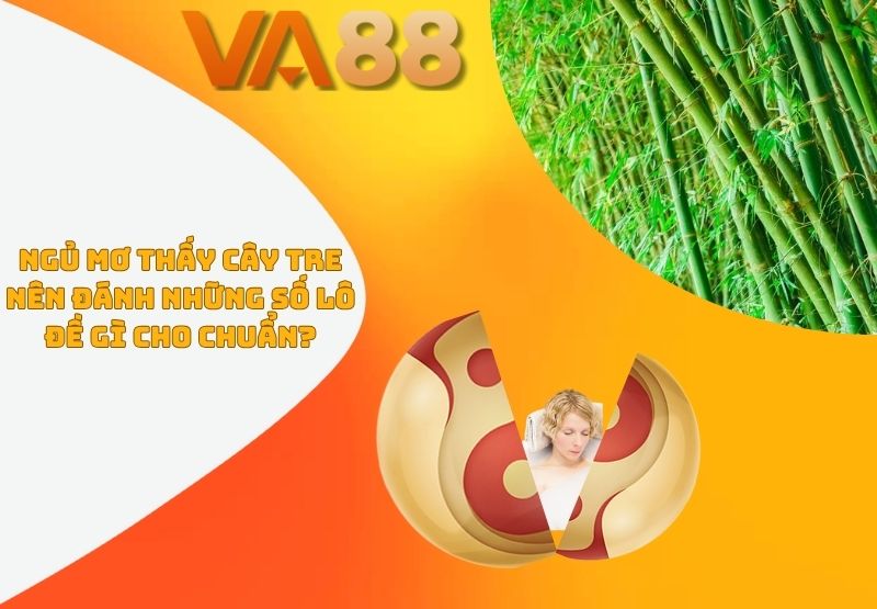 mơ thấy cây tre